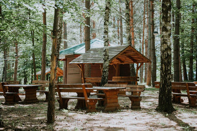 Chairs and table against trees in forest