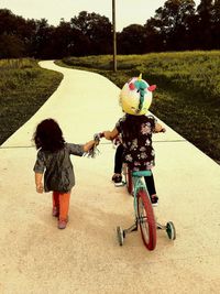 Rear view of friends riding bicycle