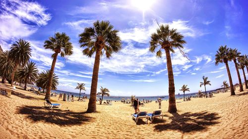 Palm trees on beach against cloudy sky