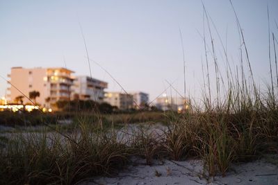 Buildings on field against clear sky at dusk