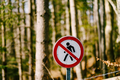 Information sign on road by trees in forest