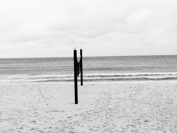 Wooden posts on beach against sky