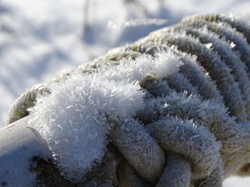 Close-up of frozen frost