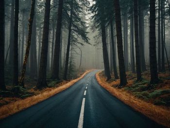 Road amidst trees in forest