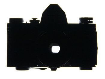 white background