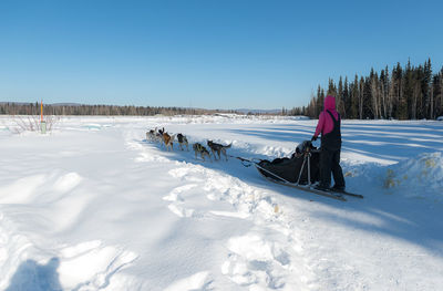 People on snow covered land against sky