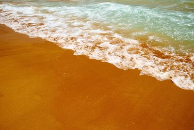 Scenic view of beach