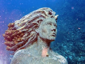 Close-up of statue in sea