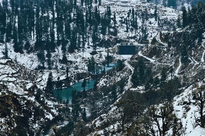 Snow covered trees on mountain