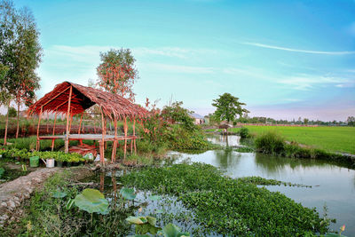 Plants by lake and building against sky