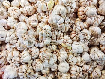 White garlic on a market shelf