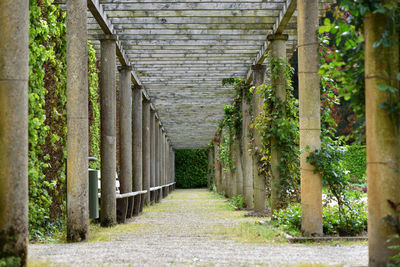 Long alley with a pergola in the park