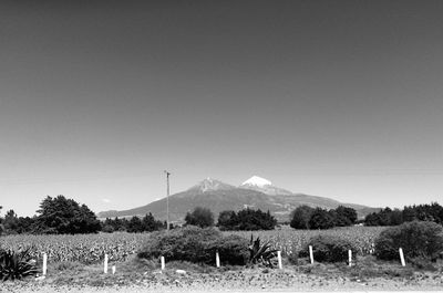 Scenic view of field against clear sky