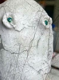 Bare trees against sky