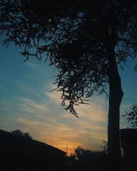 Silhouette of trees at sunset