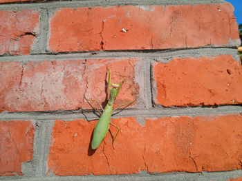 Full frame shot of brick wall