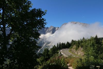 Panoramic view of trees and mountains against clear sky