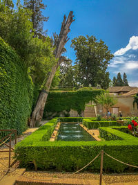 Scenic view of green landscape against sky