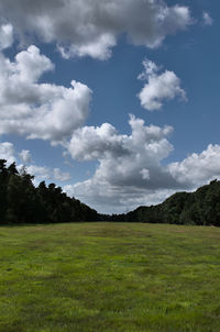 Scenic view of field against sky