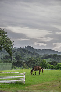 Horses on field against sky