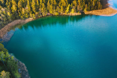 High angle view of lake amidst trees in forest