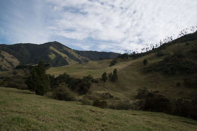 Scenic view of field against sky