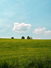 Scenic view of field against sky