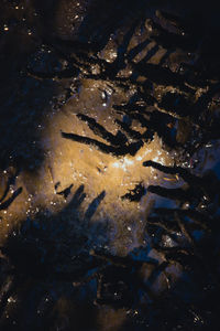 High angle view of wet umbrella