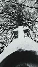 Tree against sky