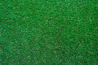 Full frame shot of soccer field