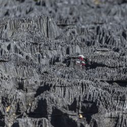 High angle view of person on rocks