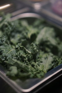 Close-up of vegetables in plate