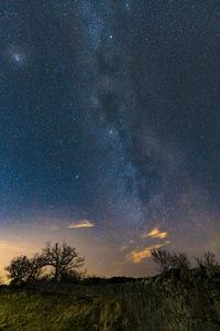 Scenic view of star field against sky at night