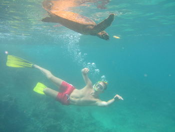 Shirtless man swimming with turtle in sea