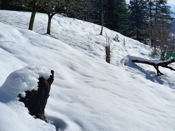 People on snow covered field during winter