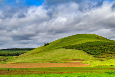 Scenic view of agricultural field against sky