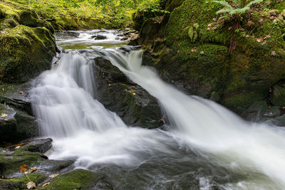 Scenic view of waterfall in forest