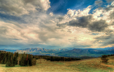 Scenic view of field against sky
