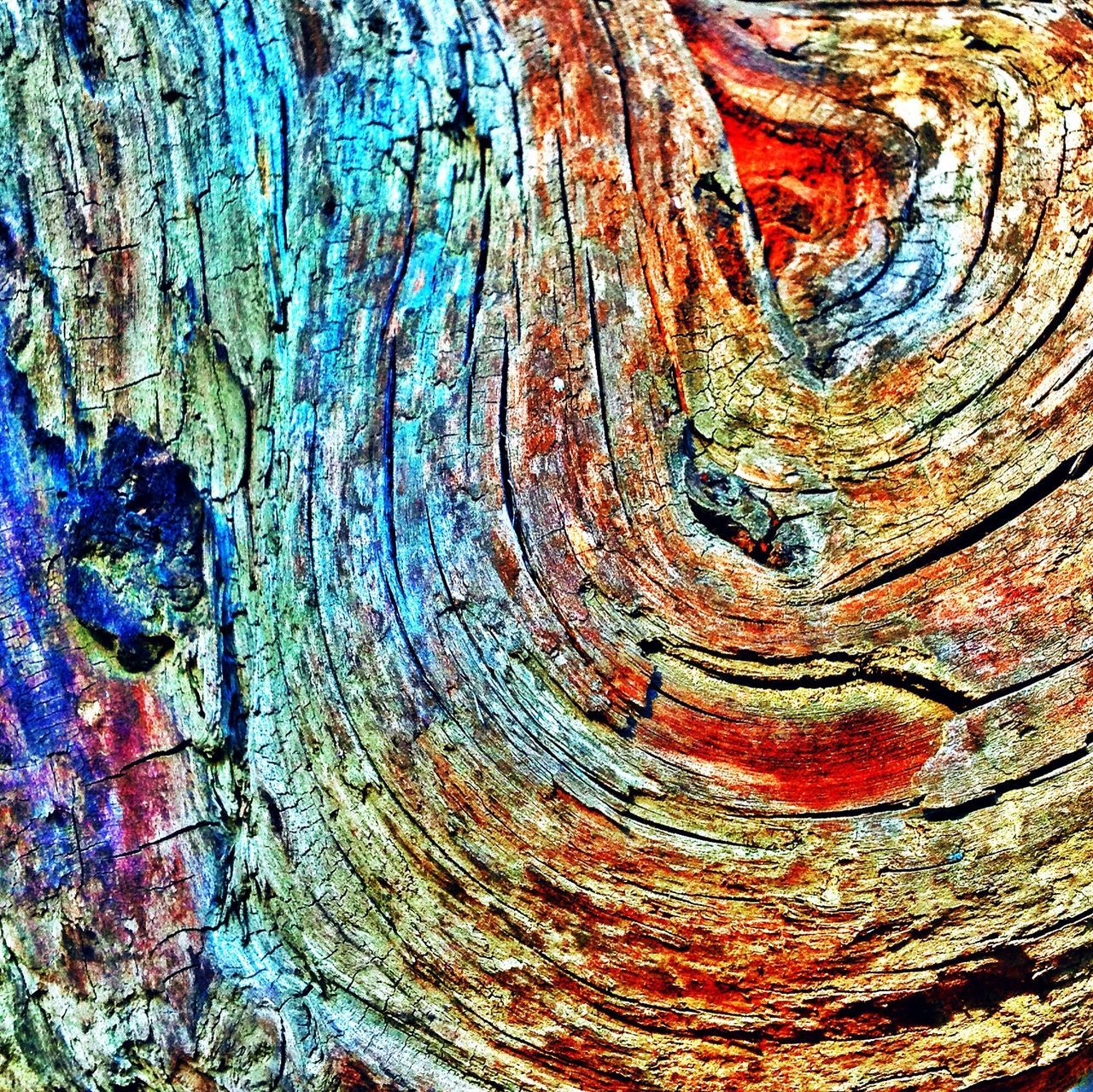 full frame, textured, backgrounds, tree trunk, pattern, rough, close-up, natural pattern, wood - material, tree, bark, weathered, detail, abstract, wood, no people, nature, outdoors, day, brown