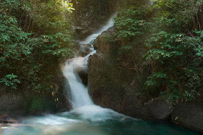 Scenic view of waterfall in forest