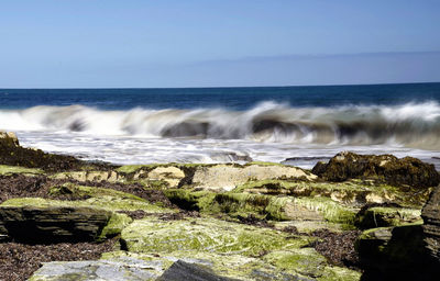 Scenic view of sea against clear blue sky