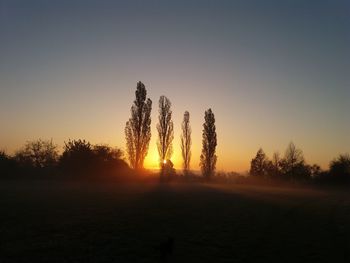 Silhouette trees on field against clear sky during sunset