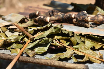 High angle view of leaves on table