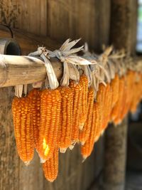 Corns hanging against wooden wall