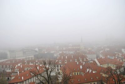 Foggy morning in the city 