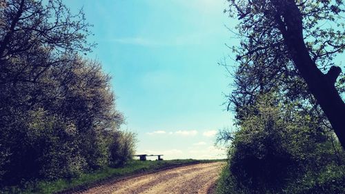 Road amidst trees against cloudy sky