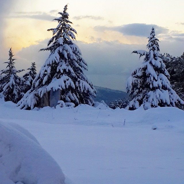 snow, winter, cold temperature, weather, season, sky, tranquility, tranquil scene, covering, beauty in nature, mountain, nature, cloud - sky, scenics, tree, landscape, frozen, white color, non-urban scene, cloud