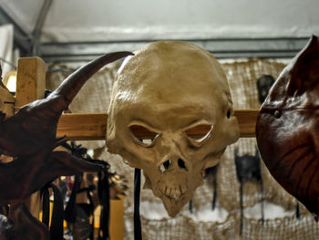 Close-up of human skull