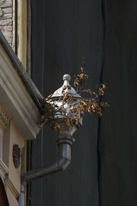 Low angle view of lighting equipment on wall against building