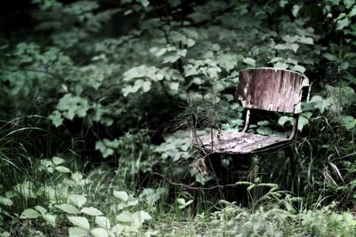 Abandoned chair in field